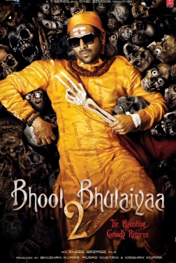 Bhool Bhulaiyaa 2 (2023)